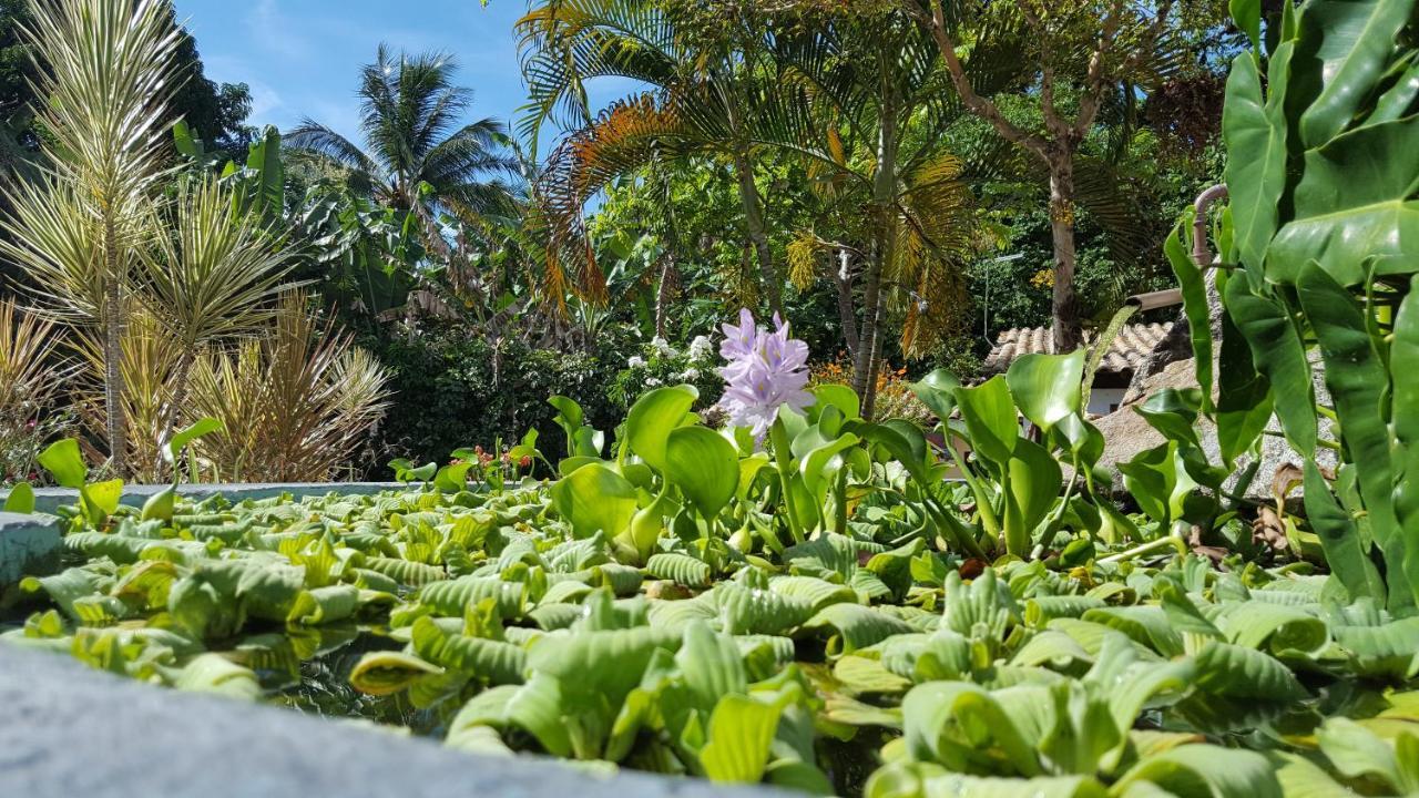 Pousada Tubarao Porto Seguro Exteriér fotografie